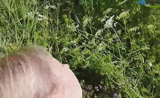 POV Outdoor doggy style with amazing backside penetration